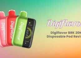 Geek Bar Digiflavor BRK 20K Disposable Vape Pod Kit Review