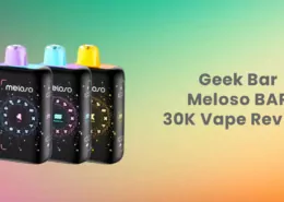 Geek Bar Meloso BAR 30K 30000 Puffs Disposable Vape Review
