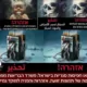 Israel Mandates Graphic Warning Labels on Vapes and Nicotine Packs 17 1741320056 Israel graphic warning images cigarette tobacco products