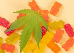 CBD gummy dosage guide