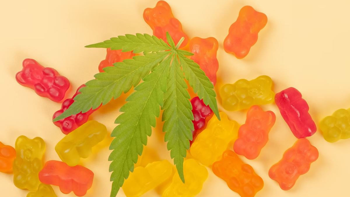 Guide How Many CBD Gummies Can I Take per Day? Ecigator
