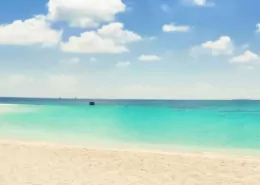 Maldives: Opposition Considers Reversing Vape Ban, Lowering Cigarette Duty 6 1744357828 Vape in Maldives