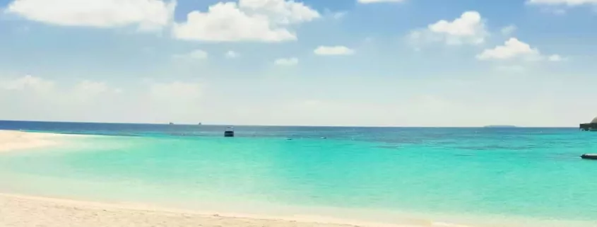 Maldives: Opposition Considers Reversing Vape Ban, Lowering Cigarette Duty 1 1744357828 Vape in Maldives