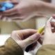 Estonia flavored heated tobacco ban
