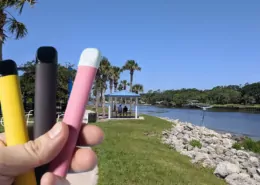 Palm Coast Florida Vaping Ban Smoking Parks