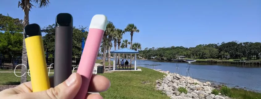 Palm Coast Florida Vaping Ban Smoking Parks