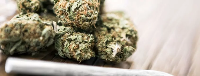 Buying Weed In Bulk