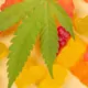 Best Place To Buy Live Resin Gummies