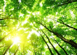 BAT Reaffirms "Smokeless World" Vision & Goals