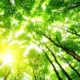 BAT Reaffirms "Smokeless World" Vision & Goals