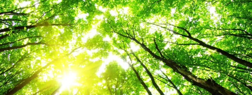 BAT Reaffirms "Smokeless World" Vision & Goals