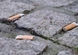 France Smoking Ban Outdoor Public Spaces