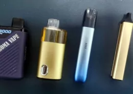 Costa Rica Upholds Strict Vaping Regulations and Flavor Bans 10 Costa Rica Vape Regulation