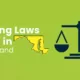 Vaping Laws in Maryland