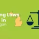 Michigan Vaping Laws