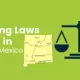 Vaping Laws in New Mexico