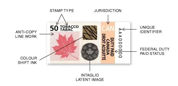 How to Get a Vape Business License in Canada (2025 Guide) 3 1752382377 image