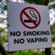 Punjab Smoking Vape Ban