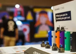 Indonesia's BPOM Expands Supervision to E-Cigarettes 7 Indonesia Vape Regulation