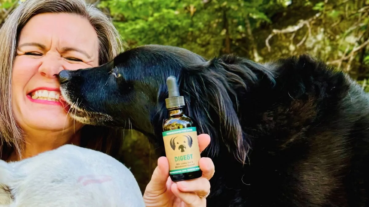 Safe CBD for Dogs Safe CBD for Dogs