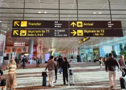 E-cigarettes Banned at Singapore Airport, Even for Transit Passengers 8 Singapore Vape Ban