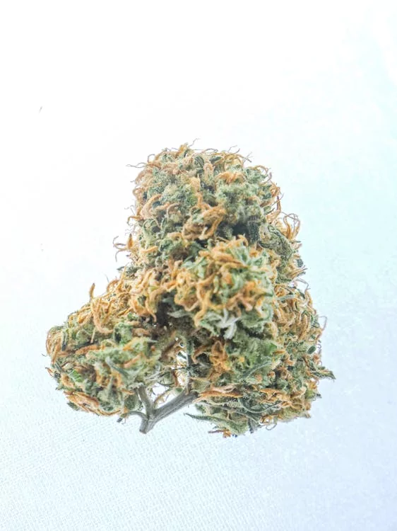 Hemp Flower In Focus—Science And Global Discussions Surrounding It 2 Hemp Flower In Focus—Science And Global Discussions Surrounding It