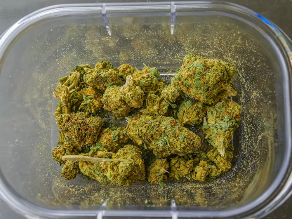 Hemp Flower In Focus—Science And Global Discussions Surrounding It Hemp Flower In Focus—Science And Global Discussions Surrounding It