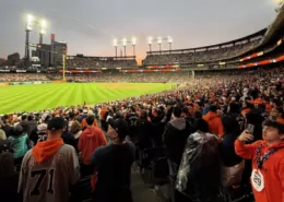 Detroit Bans Smokeless Tobacco and Nicotine Pouches at Pro Sports Stadiums 4 Detroit Smokeless Tobacco Ban