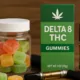 Maryland Court Rules Delta-8, Delta-10 THC "Always Illegal" in State 21 Maryland Delta-8 Ban