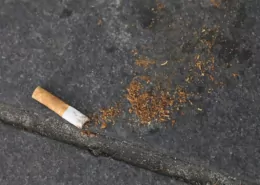The Tobacco Industry's Smokeless Pivot: Heated Tobacco and Nicotine Pouches Reshape the Market 8 Smokeless Tobacco, Heated Tobacco, Nicotine Pouches
