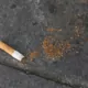 The Tobacco Industry's Smokeless Pivot: Heated Tobacco and Nicotine Pouches Reshape the Market 21 Smokeless Tobacco, Heated Tobacco, Nicotine Pouches