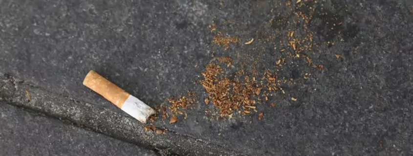 The Tobacco Industry's Smokeless Pivot: Heated Tobacco and Nicotine Pouches Reshape the Market 1 Smokeless Tobacco, Heated Tobacco, Nicotine Pouches