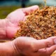 Tobacco Projected to Kill 1 Billion This Century 14 Tobacco Deaths, Smoking Health Risks