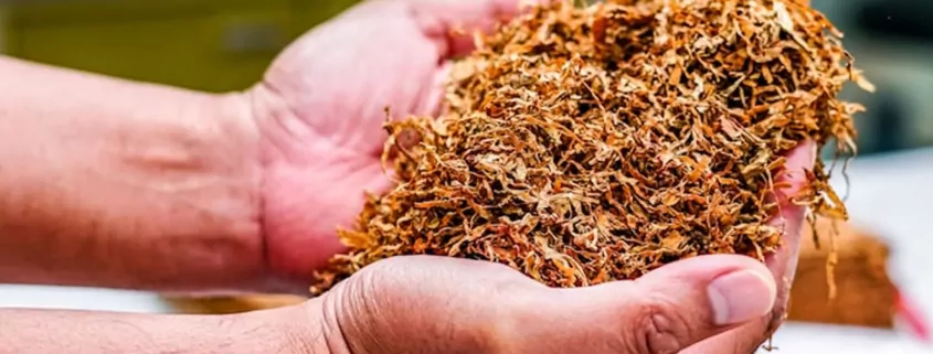 Tobacco Projected to Kill 1 Billion This Century 1 Tobacco Deaths, Smoking Health Risks