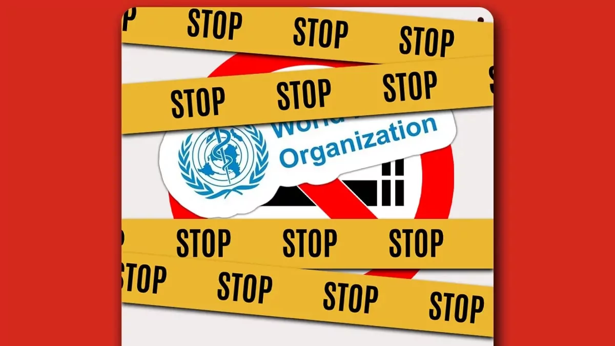 How Will 9 Key Global Shifts in 2025 Reshape the Nicotine Industry in 2026? 5 COP11 WHO Tobacco Control