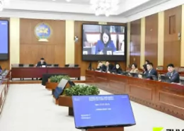 Mongolia Parliament Advances Stricter Tobacco & Vape Laws 7 Mongolia Tobacco Law