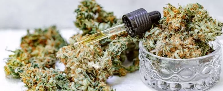 What Defines Premium THCa Flower Quality in Today’s Market? 1 THCA flower