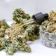 THCA flower
