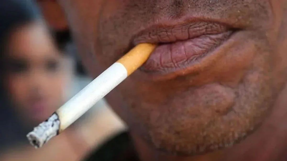 license for selling tobacco products in morocco licensing requirements required to sell tobacco products in morocco Relight as needed license to sell tobacco products