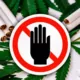 Portugal Proíbe Cáñamo e CBD em Produtos de Tabaco, Restringindo-os ao Uso Medicinal 6 Portugal CBD Ban, Hemp Tobacco Products