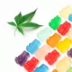 Where To Buy Kratom Gummies Online? Cyber Monday Savings At KRATOMade 18 1764745548 image