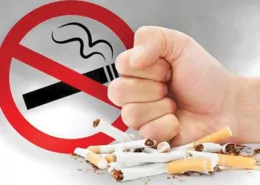 Sweden Set to Become Europe’s First "Smoke-Free" Nation 8 Sweden Smoke-Free
