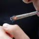 Can You Smoke Hemp in Wisconsin Rentals? Legal Guide 15 Wisconsin Hemp Laws, Smoking in Rentals