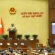 WHO Welcomes Vietnam's Ban on E-Cigarettes and HTPs 19 Vietnam Vape Ban, WHO Praise