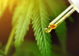 Nanotech CBD Delivery Silences Pain Without Side Effects 5 CBD Nanotechnology, Pain Relief