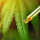 Nanotech CBD Delivery Silences Pain Without Side Effects 17 CBD Nanotechnology, Pain Relief