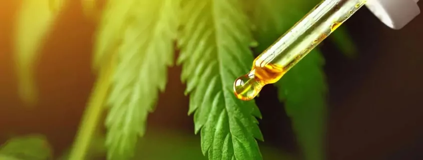 Nanotech CBD Delivery Silences Pain Without Side Effects 1 CBD Nanotechnology, Pain Relief