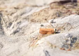 Florida: Sanibel Considers Smoking Ban on City Beaches 6 Sanibel Beach Smoking Ban