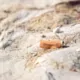 Florida: Sanibel Considers Smoking Ban on City Beaches 16 Sanibel Beach Smoking Ban