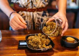 Study: High-THC Cannabis Products Offer Slight Pain Relief but Carry More Side Effects 5 Cannabis Pain Relief, THC Side Effects
